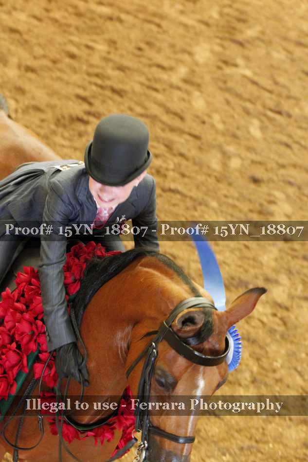Proof 15YN_18807