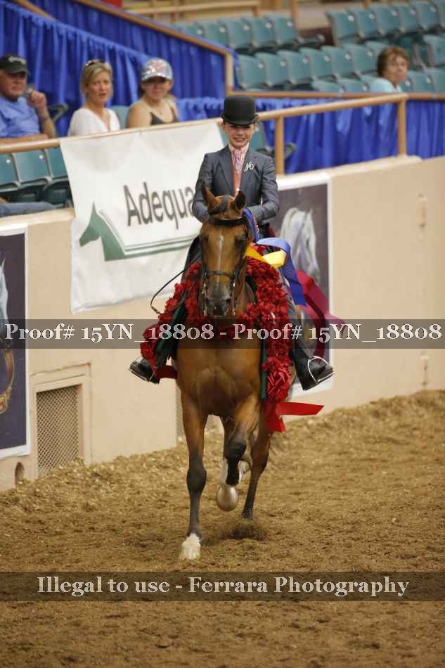 Proof 15YN_18808