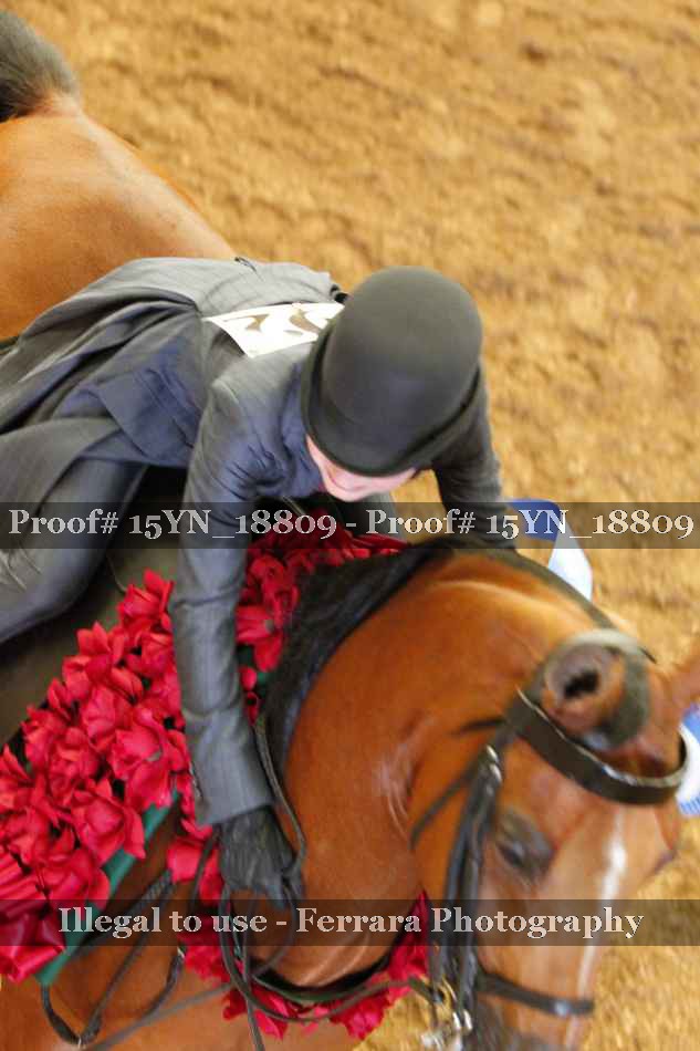 Proof 15YN_18809