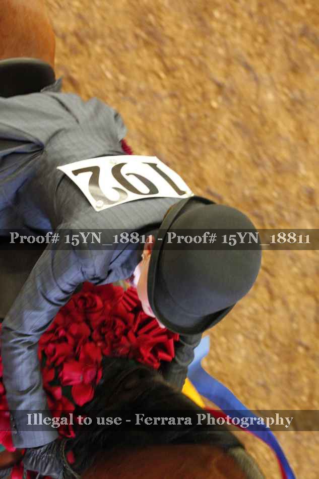 Proof 15YN_18811