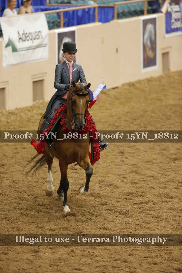 Proof 15YN_18812