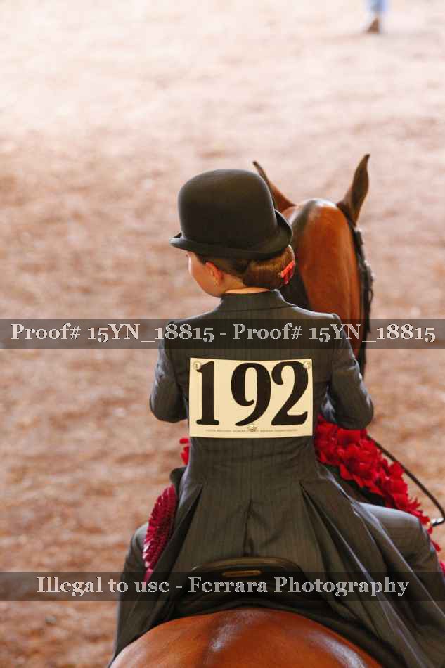 Proof 15YN_18815
