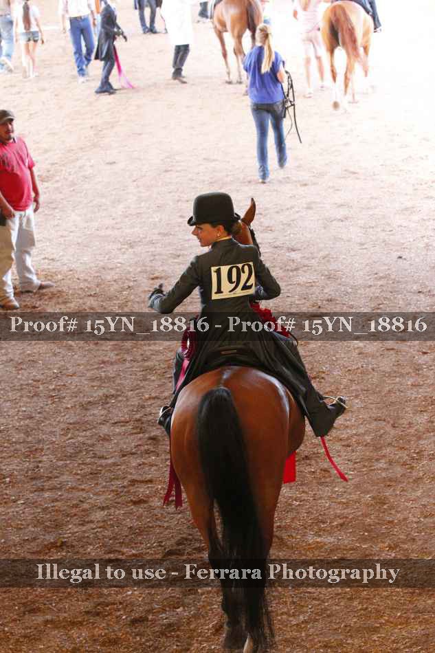 Proof 15YN_18816
