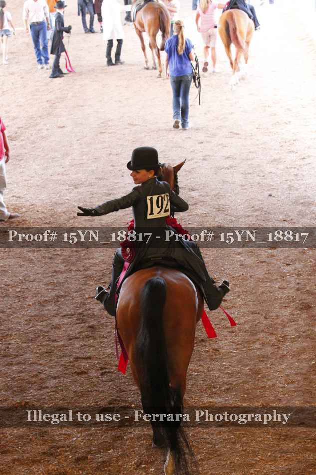 Proof 15YN_18817