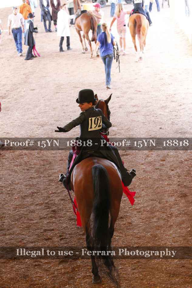 Proof 15YN_18818