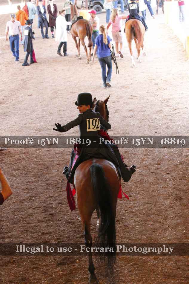 Proof 15YN_18819