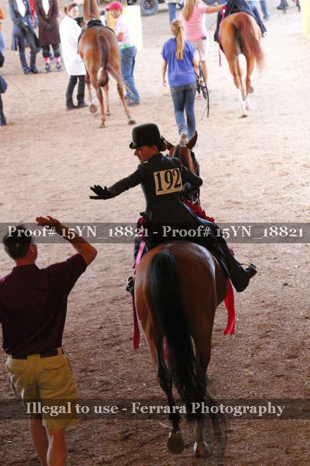 Proof 15YN_18821