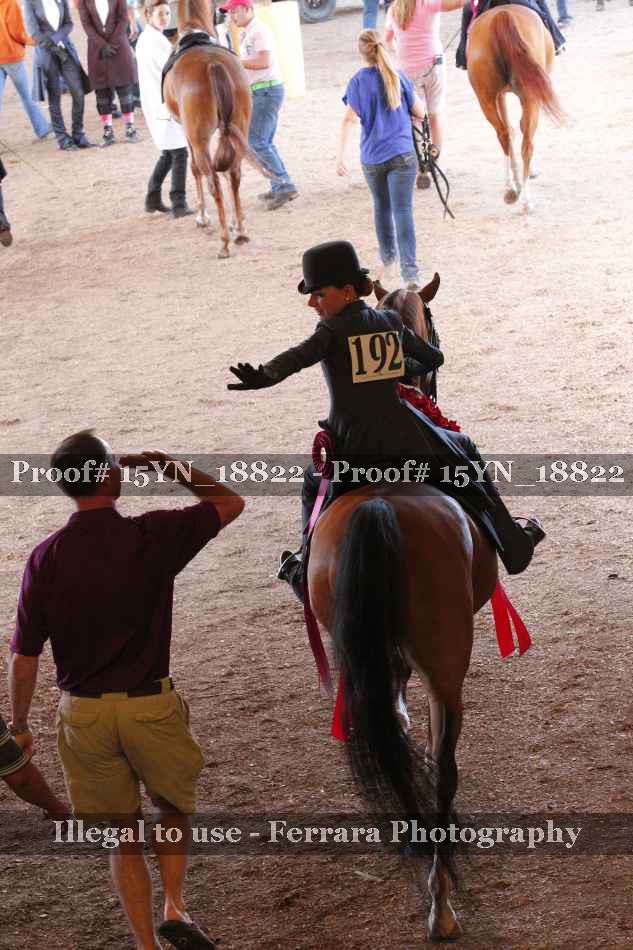 Proof 15YN_18822