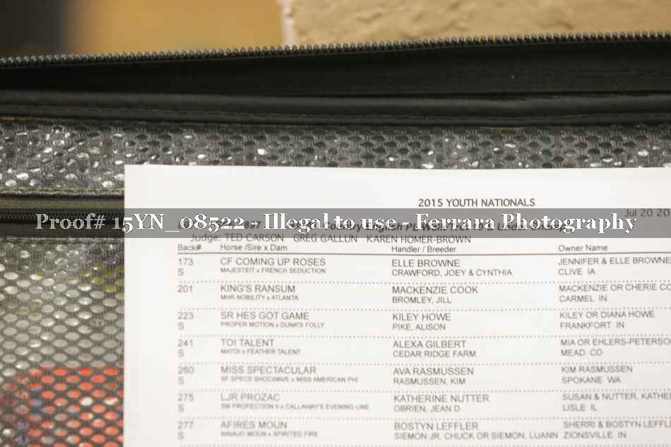 Proof 15YN_08522