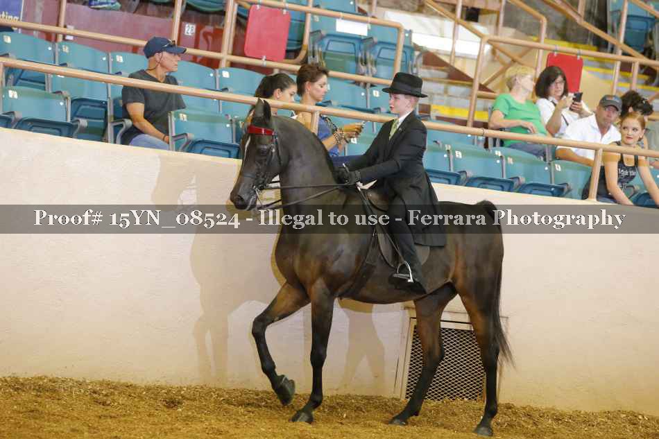 Proof 15YN_08524