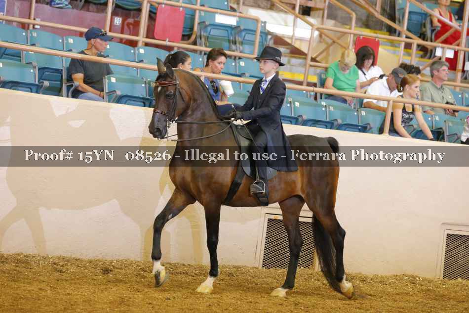 Proof 15YN_08526
