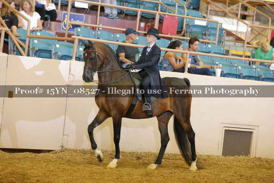 Proof 15YN_08527