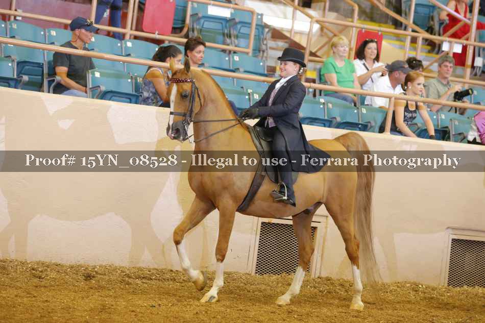 Proof 15YN_08528