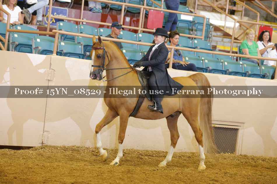Proof 15YN_08529