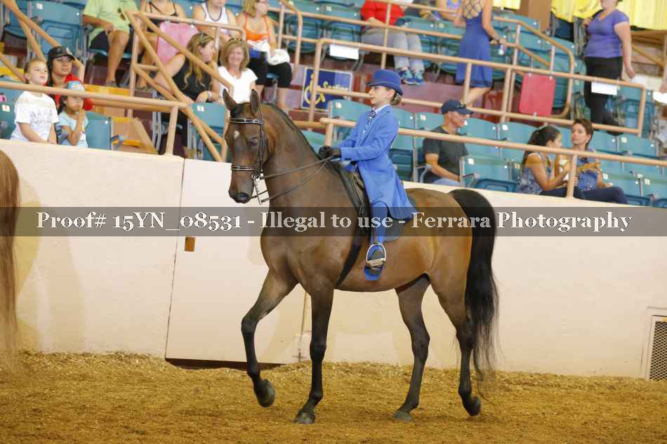 Proof 15YN_08531