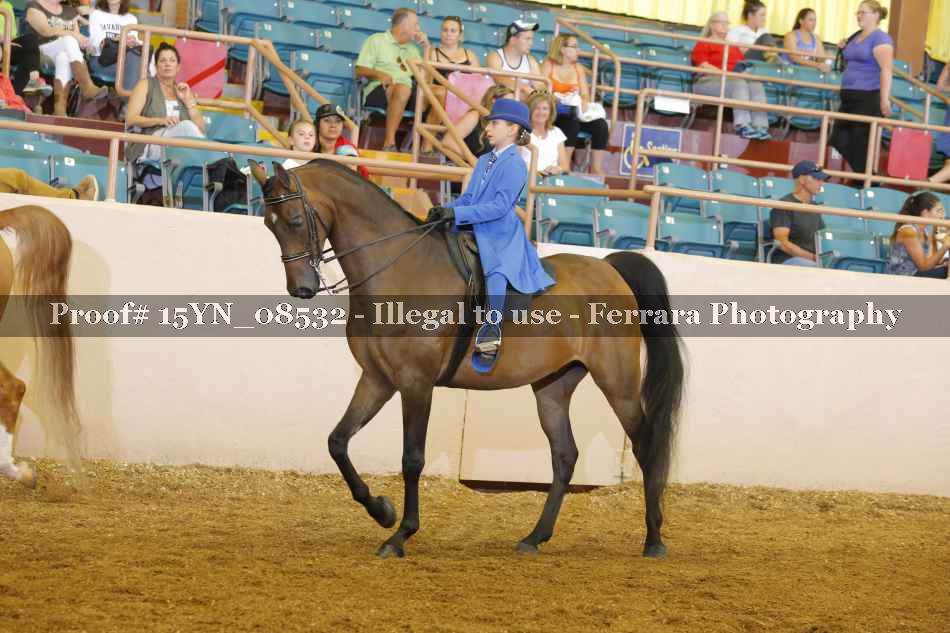 Proof 15YN_08532
