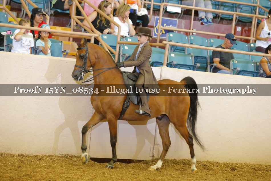 Proof 15YN_08534