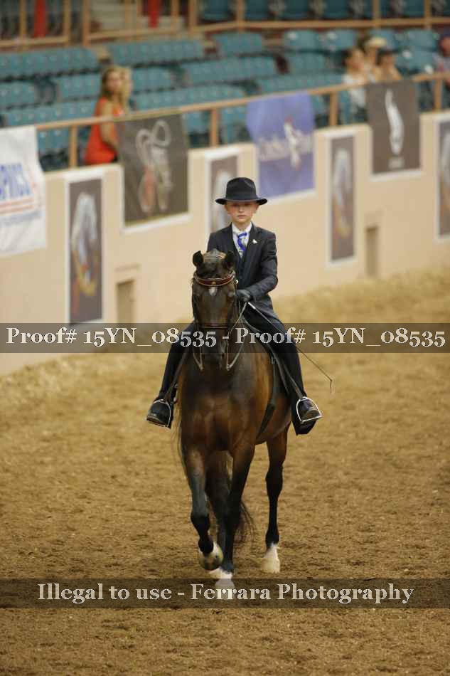 Proof 15YN_08535
