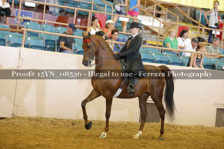 Proof 15YN_08536