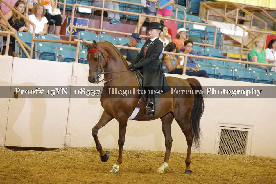 Proof 15YN_08537