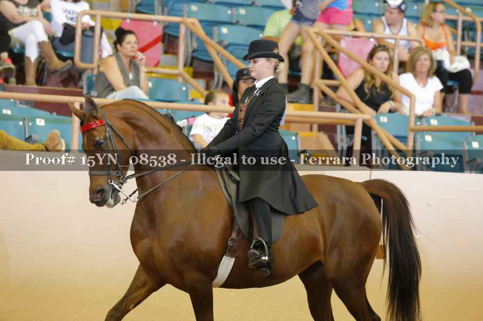 Proof 15YN_08538