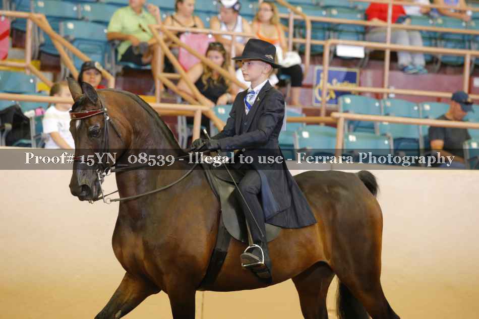 Proof 15YN_08539