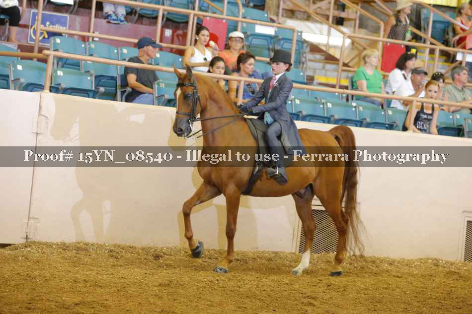 Proof 15YN_08540
