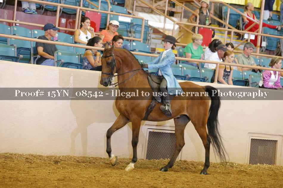 Proof 15YN_08542