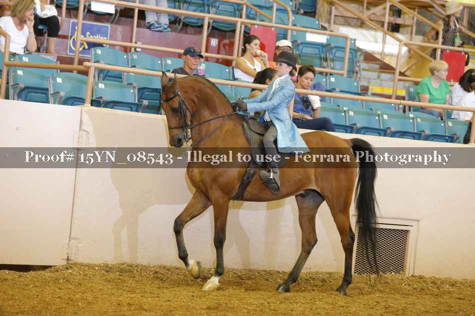 Proof 15YN_08543