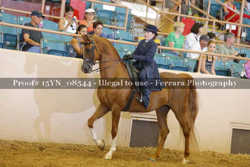 Proof 15YN_08544