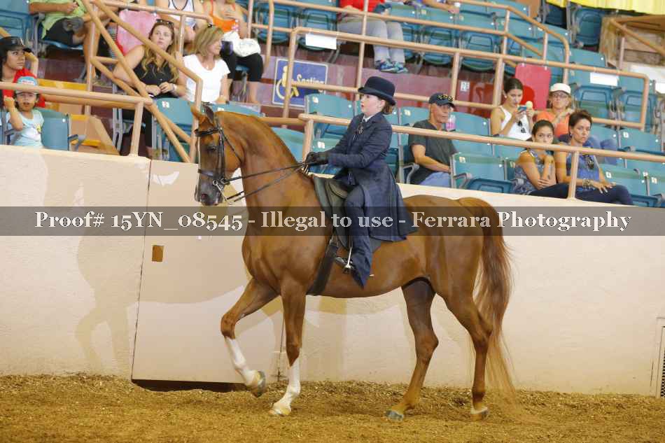 Proof 15YN_08545