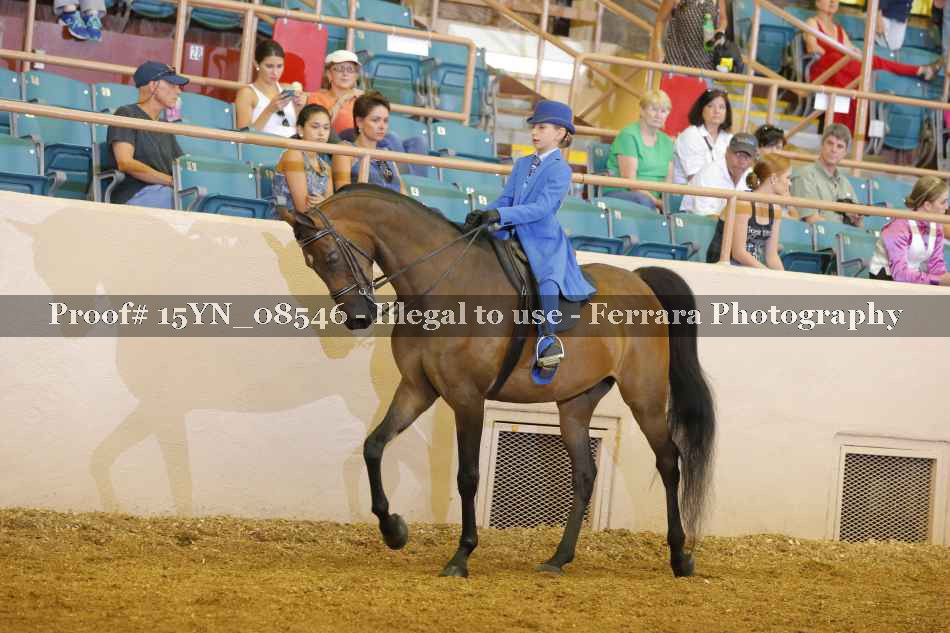 Proof 15YN_08546