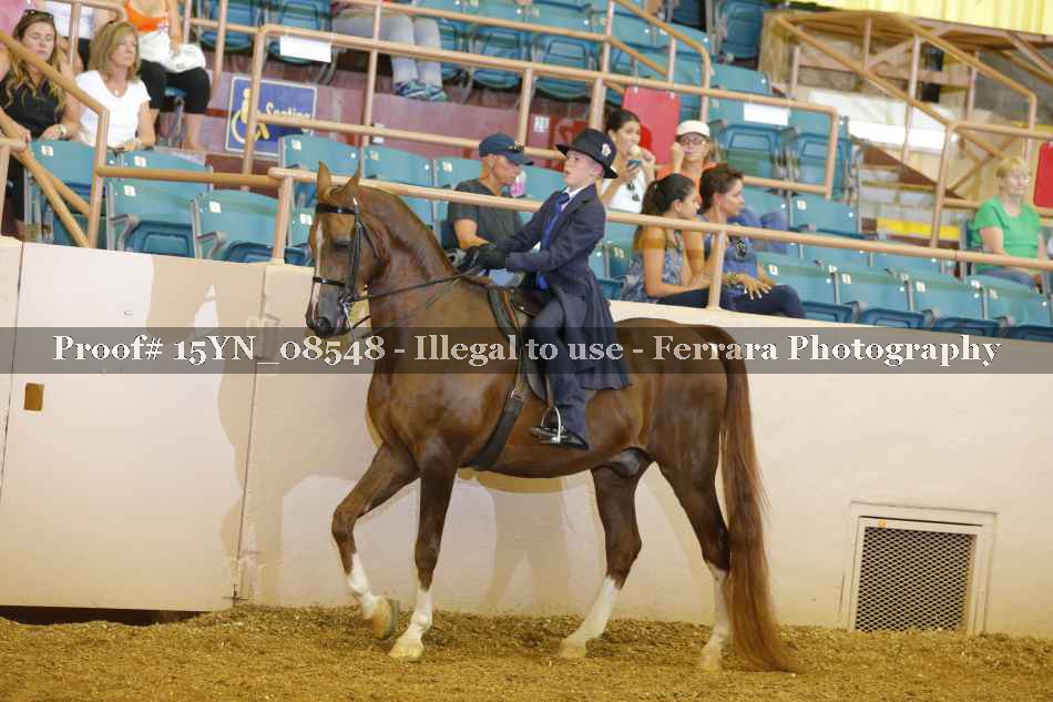 Proof 15YN_08548