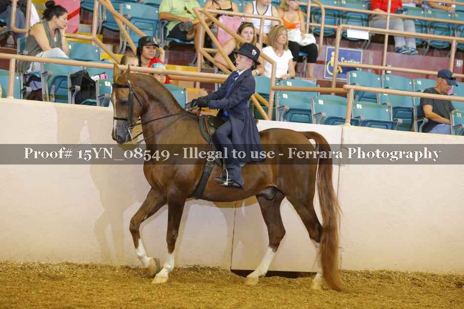 Proof 15YN_08549