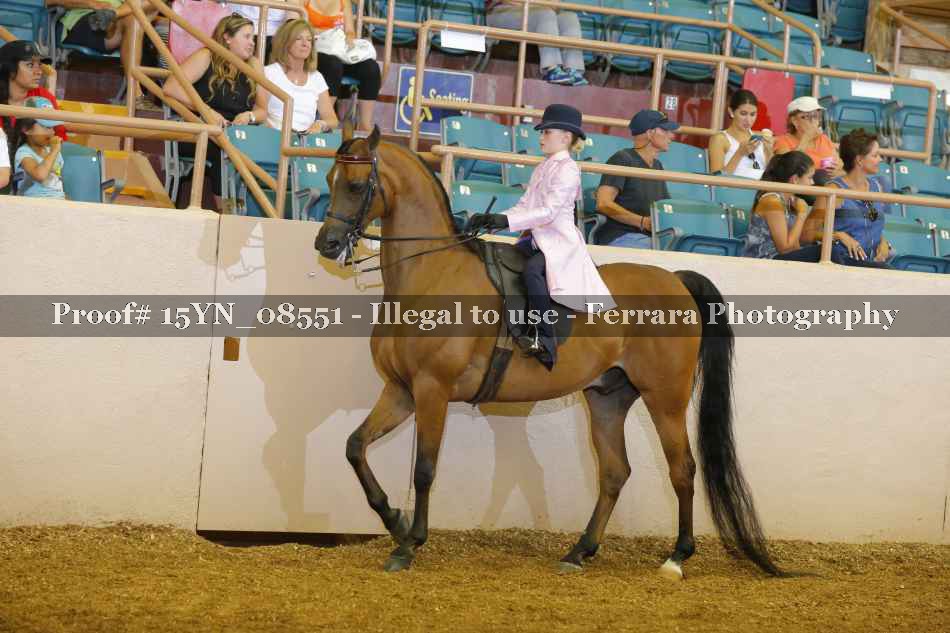 Proof 15YN_08551