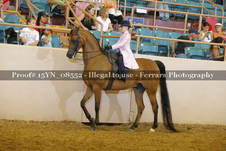 Proof 15YN_08552