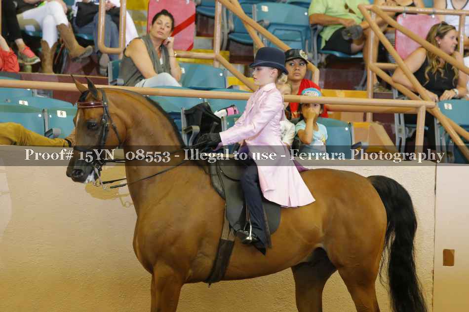 Proof 15YN_08553