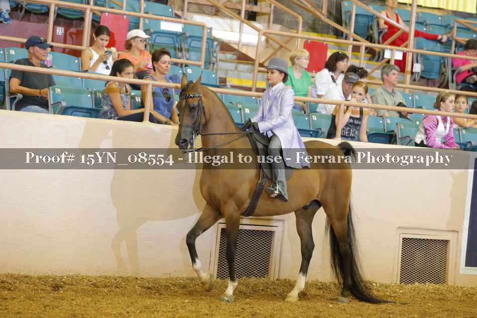 Proof 15YN_08554