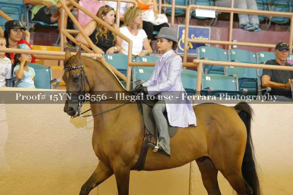 Proof 15YN_08556