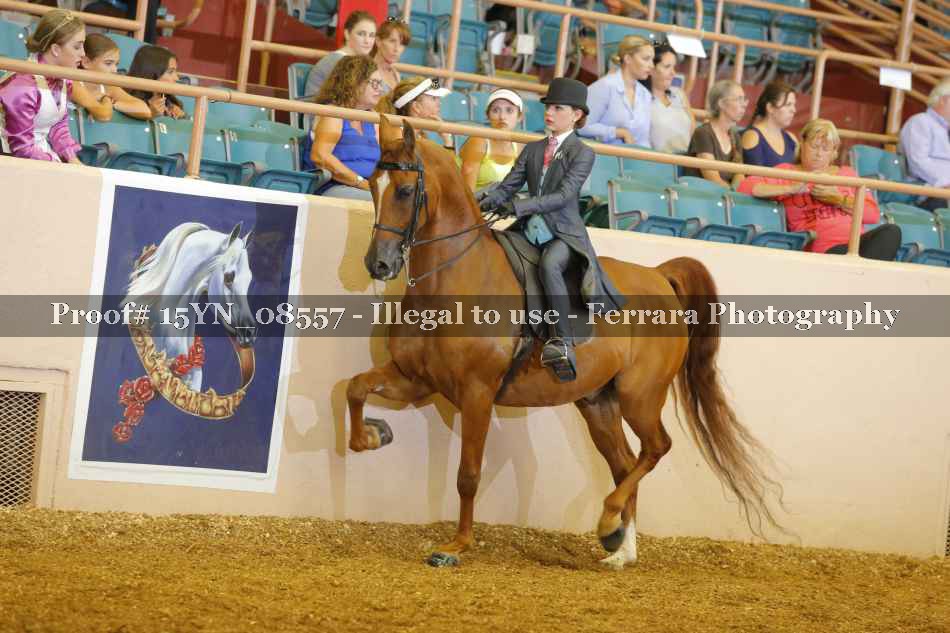 Proof 15YN_08557