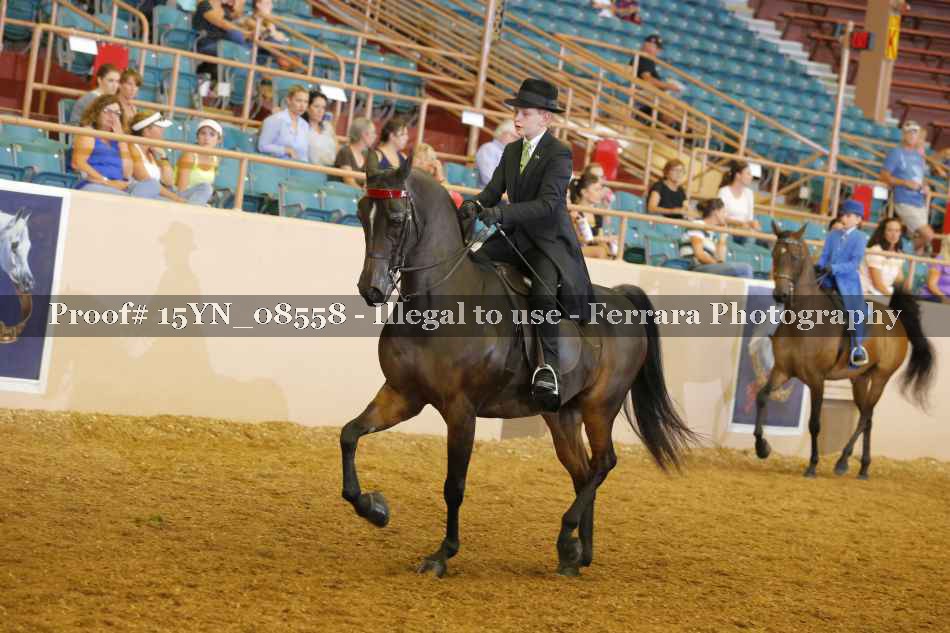 Proof 15YN_08558