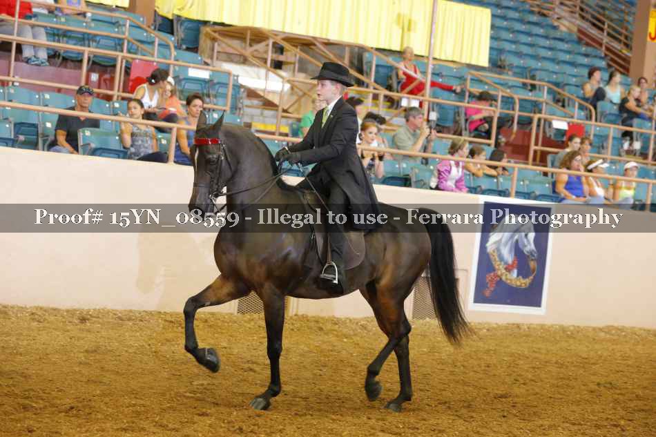 Proof 15YN_08559