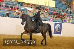 15YN_08559 proof