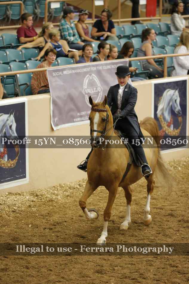Proof 15YN_08560