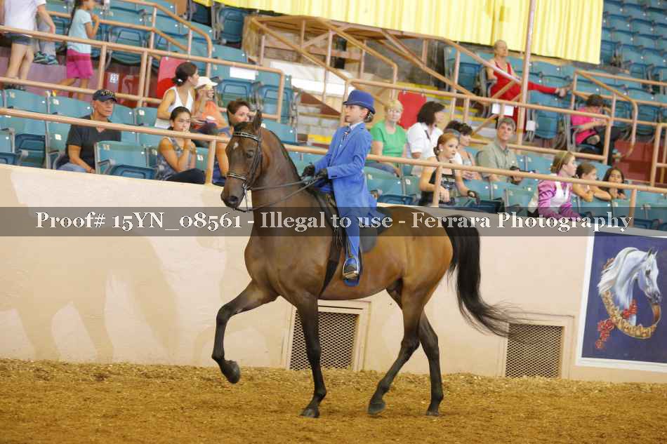 Proof 15YN_08561