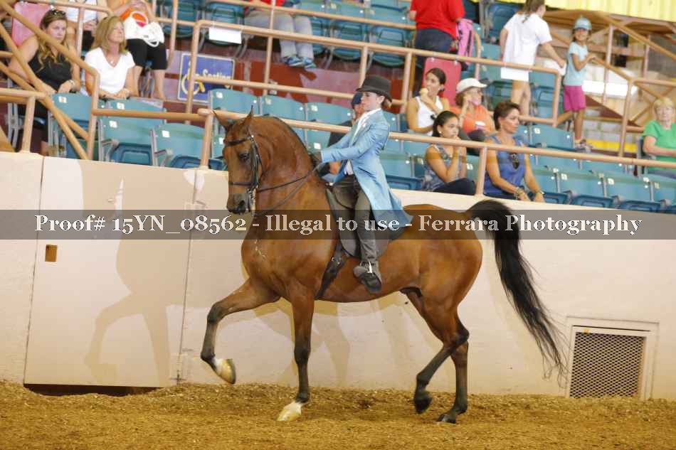 Proof 15YN_08562