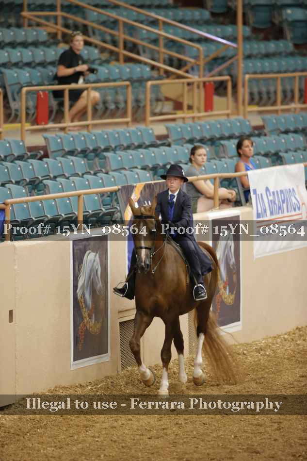 Proof 15YN_08564