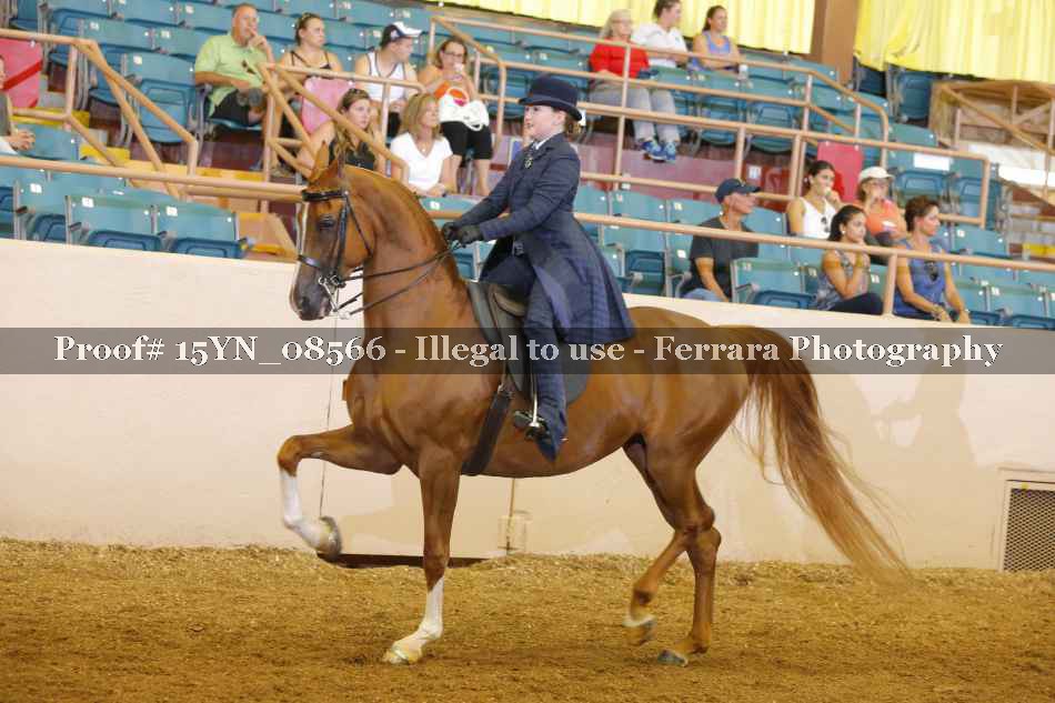Proof 15YN_08566
