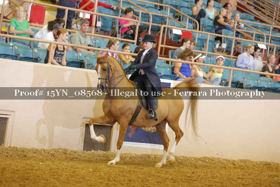 Proof 15YN_08568