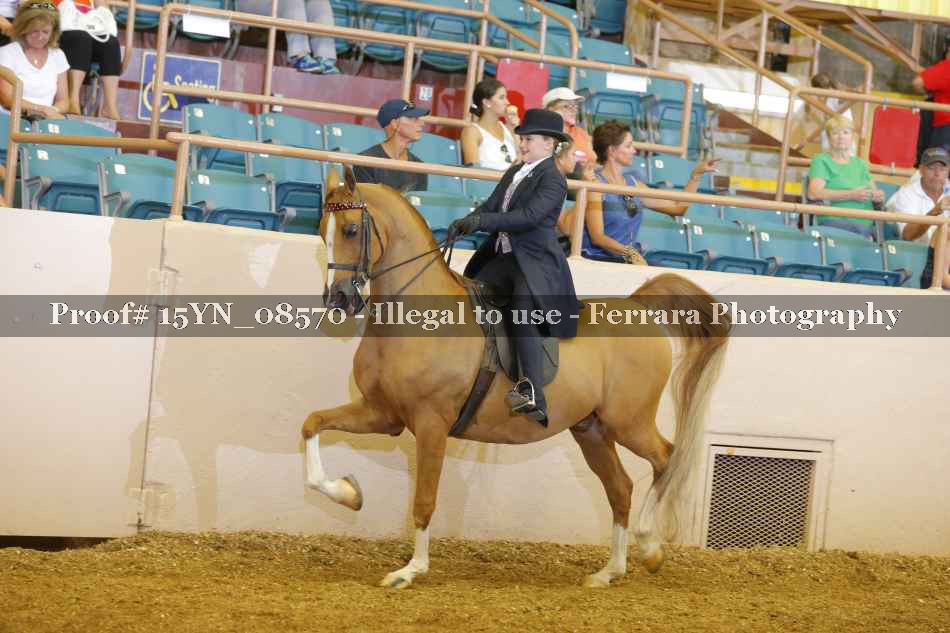 Proof 15YN_08570